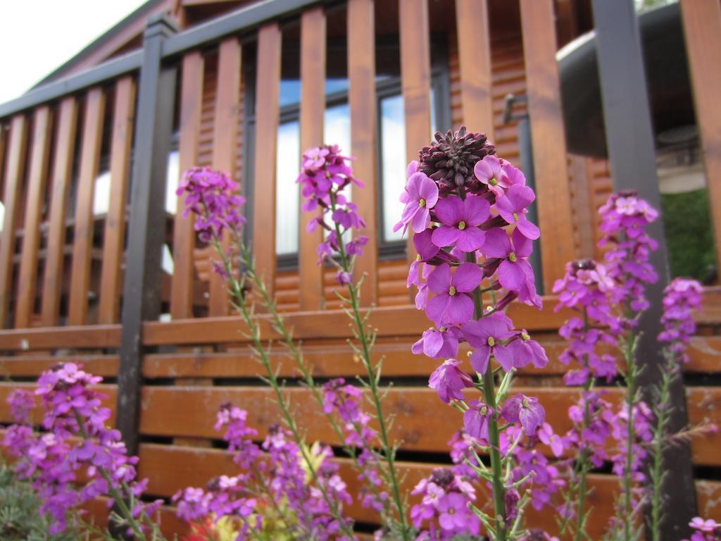 Inverbeg Holiday Park Luss Pokoj fotografie
